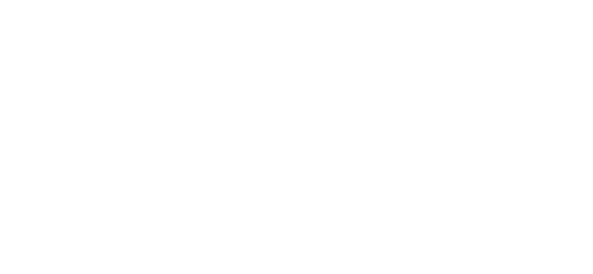 Logo Twilio Blanc